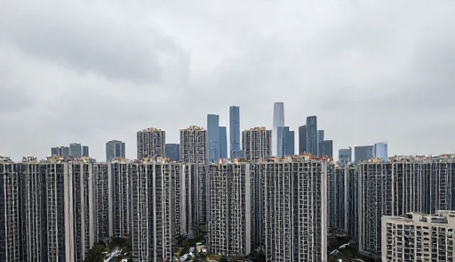 网站高端定制在哪，覆盖工商查询的黄页服务如何助力企业合作